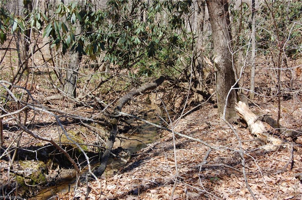 181 Martha Lowe Road Lowgap, NC 27024 - Photo 5 of 10 Gallery Image 5