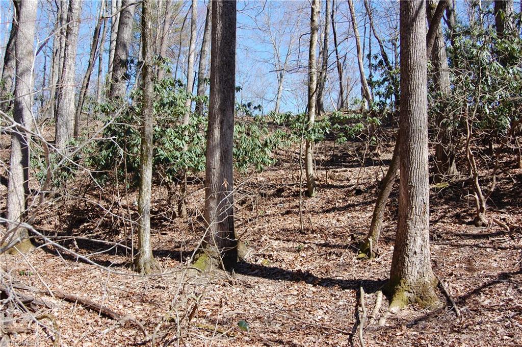181 Martha Lowe Road Lowgap, NC 27024 - Photo 6 of 10 Gallery Image 6