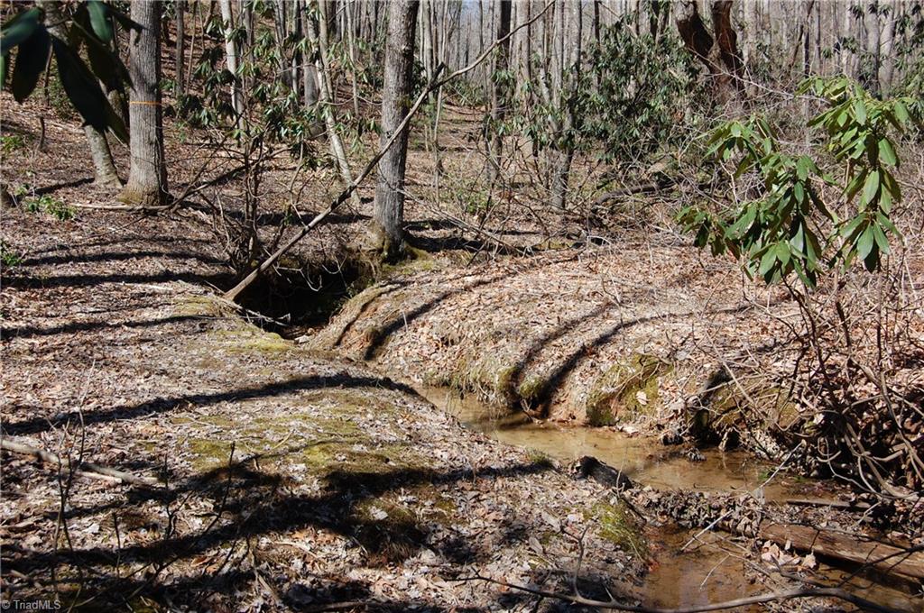 181 Martha Lowe Road Lowgap, NC 27024 - Photo 8 of 10 Gallery Image 8
