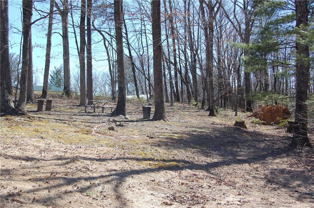 181 Martha Lowe Road Lowgap, NC 27024 - Photo 10 of 10 Gallery Image 10