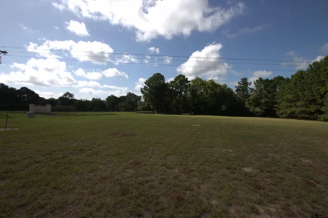 a view of a field with an ocean
