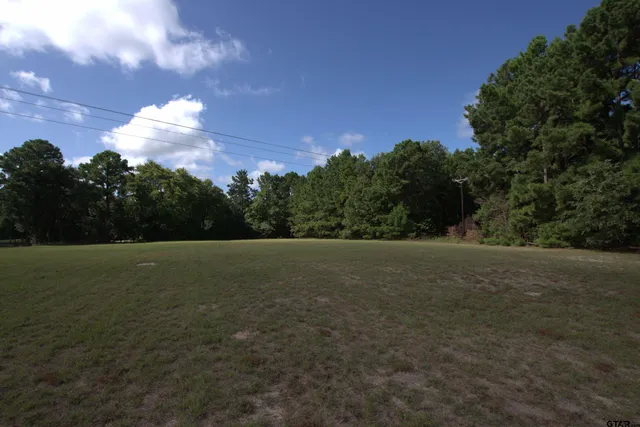 a view of a field with an trees