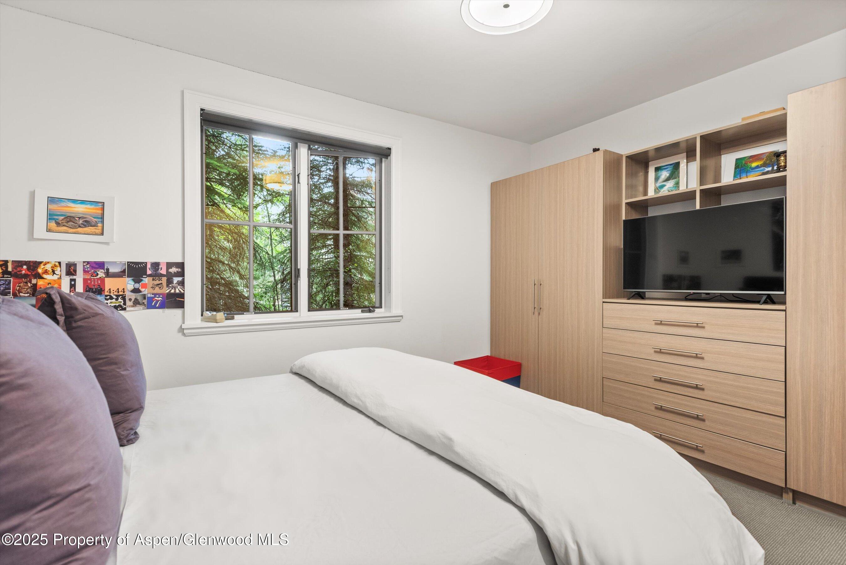 289 Exhibition Lane Aspen, CO 81611 - Photo 22 of 46 a bedroom with a bed and a flat screen tv