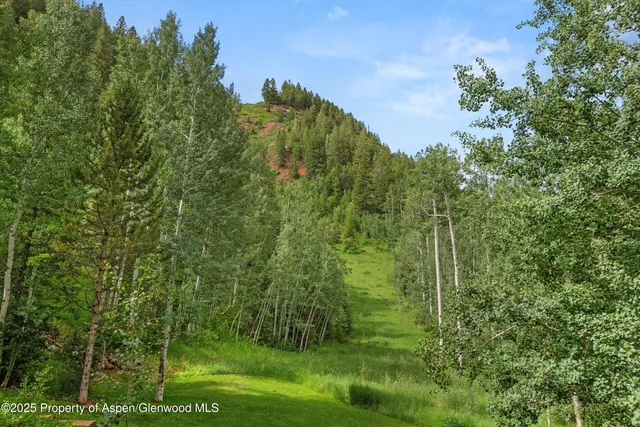 $80,000 | 289 Exhibition Lane, Aspen, CO 81611