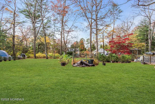 a view of a trees in front of a house