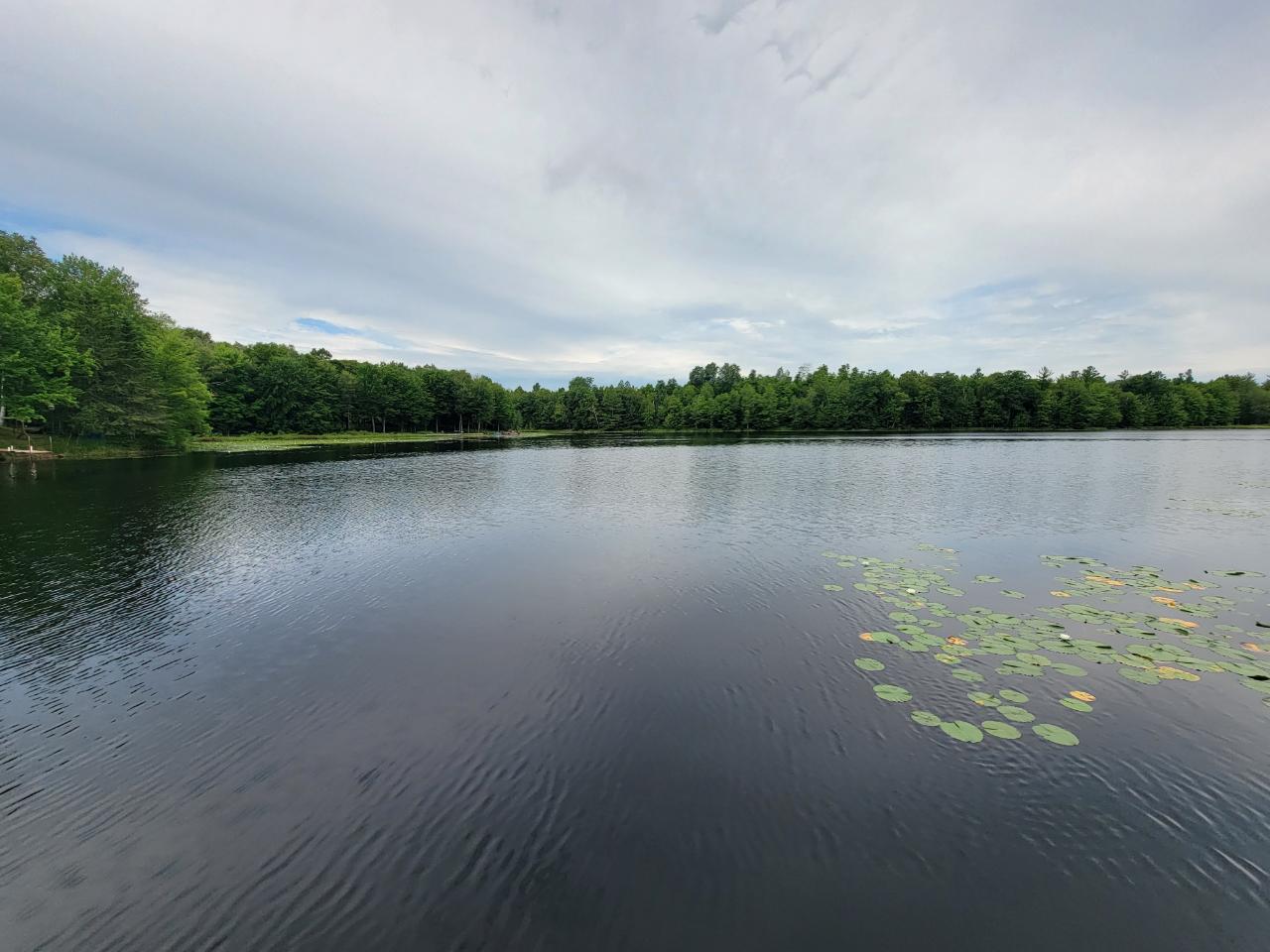 N6598 Neva Lake Road Deerbrook, WI 54424 - Photo 20 of 61 Gallery Image 20
