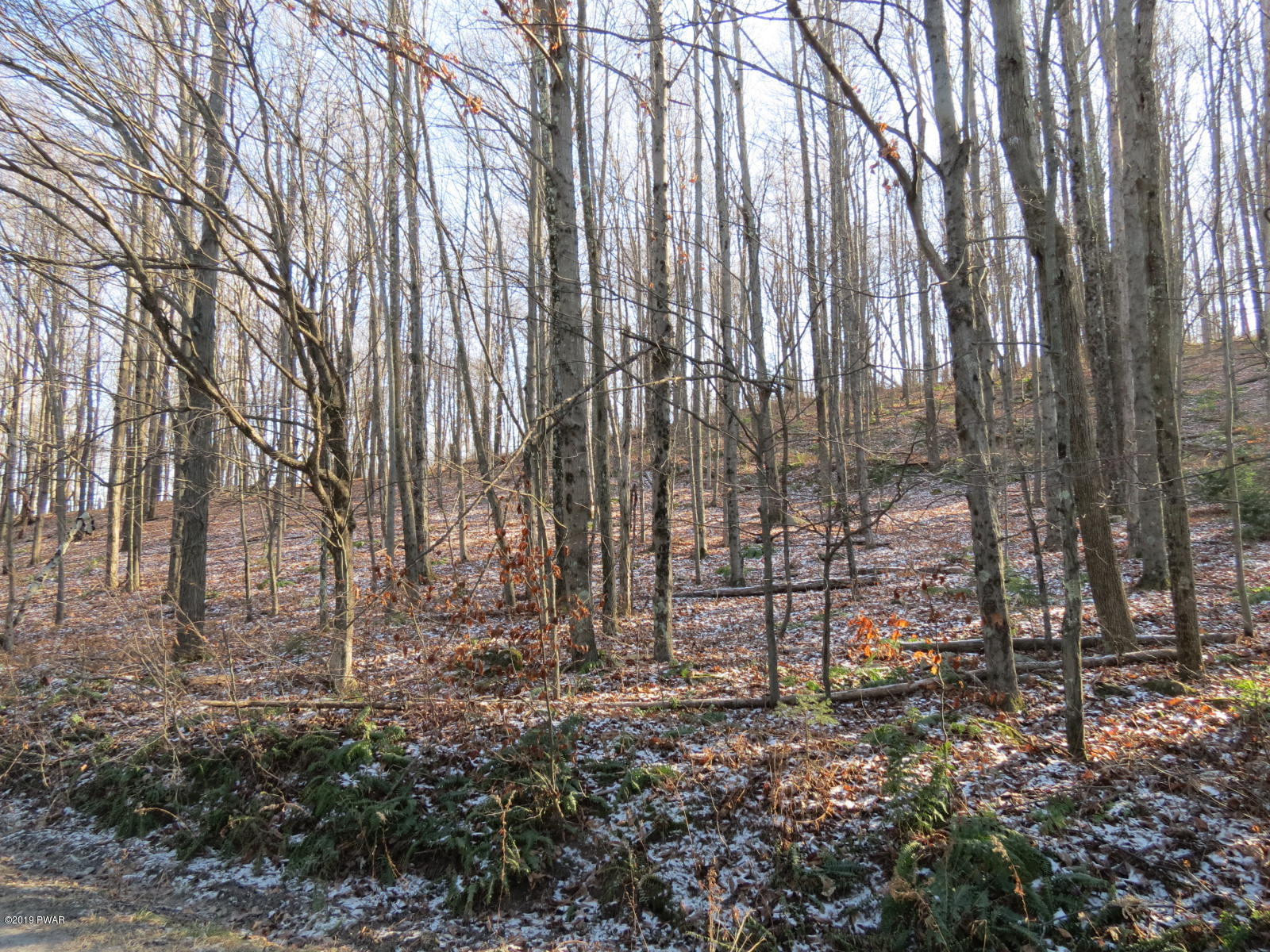 146 Mountain Vw Road Newfoundland, PA 18445 - Photo 13 of 13
