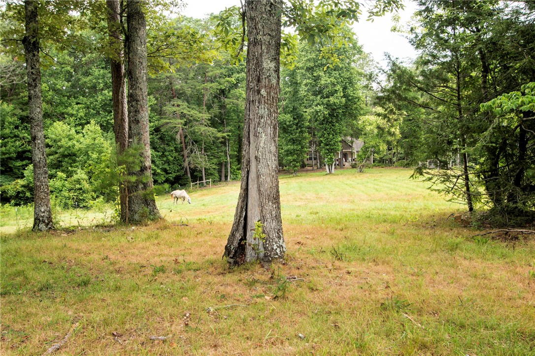321 Land Bridge Road Mountain Rest, SC 29664 - Photo 28 of 43 Gallery Image 28