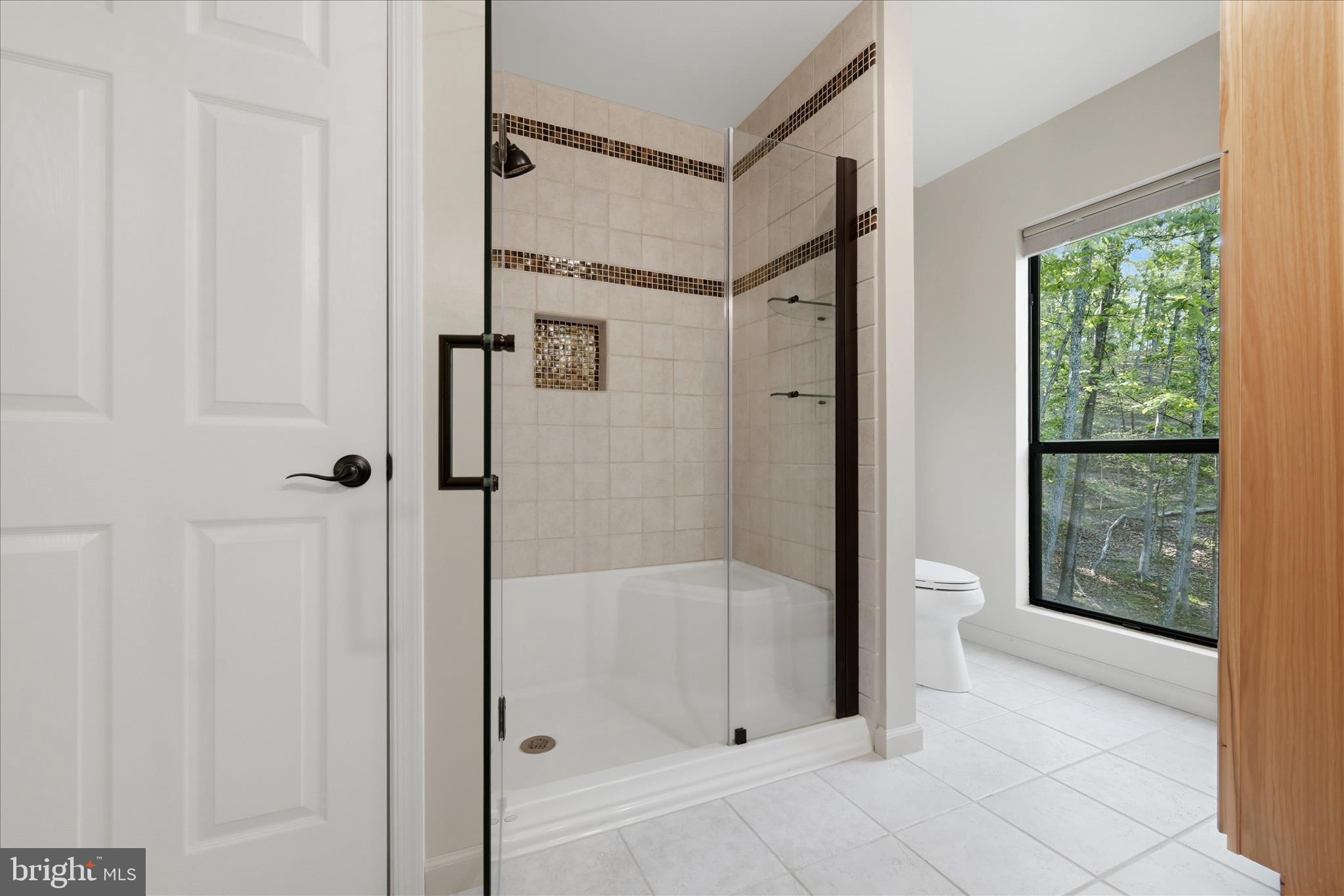 1856 Crossings View Road Paw Paw, WV 25434 - Photo 23 of 45 a bathroom with a glass shower door