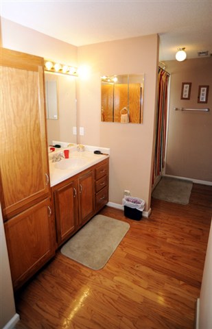 216 Cornelson Drive Greer, SC 29651 - Photo 7 of 10