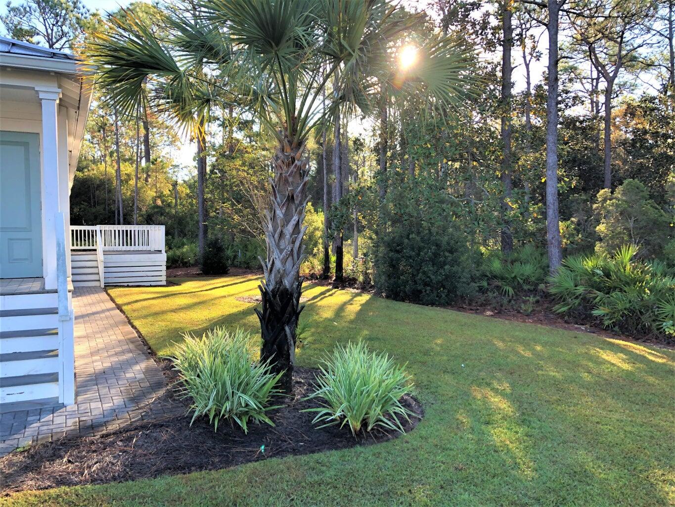 53 Rosin Cup Circle Santa Rosa Beach, FL 32459 - Photo 21 of 22 a view of a backyard with plants and a patio