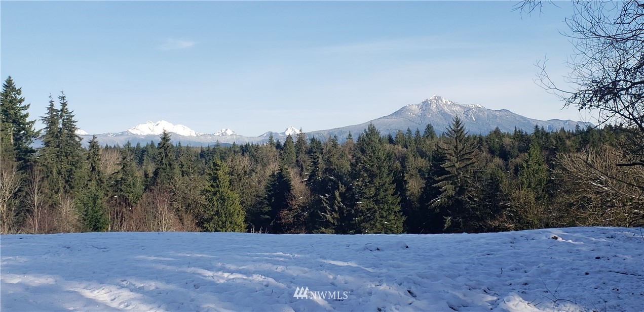 2020 Newberg Road Snohomish, WA 98290 - Photo 12 of 37