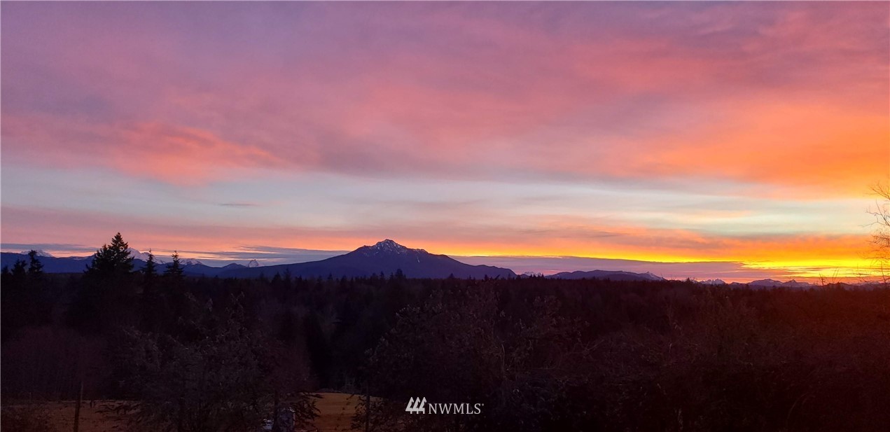 2020 Newberg Road Snohomish, WA 98290 - Photo 37 of 37