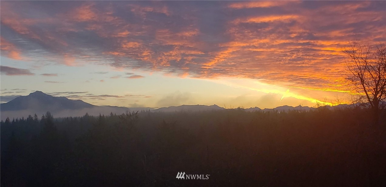 2020 Newberg Road Snohomish, WA 98290 - Photo 8 of 37