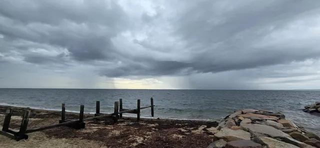 a view of city with ocean