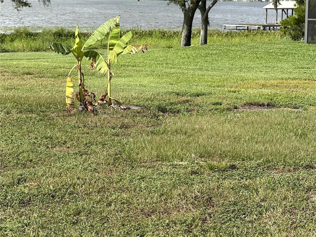 823 North Lake Reedy Boulevard Frostproof, FL 33843 - Photo 32 of 42