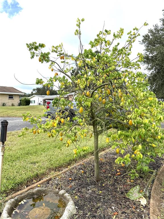 823 North Lake Reedy Boulevard Frostproof, FL 33843 - Photo 36 of 42