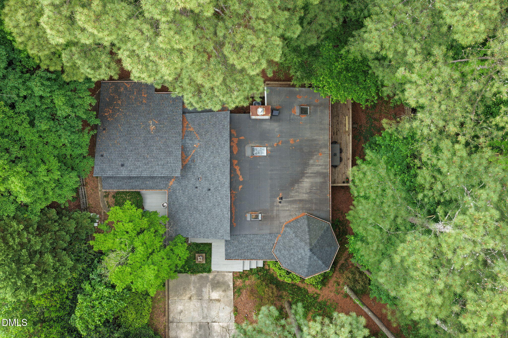 1401 Trinity Circle Raleigh, NC 27607 - Photo 61 of 73 Beautiful Wooded Lot