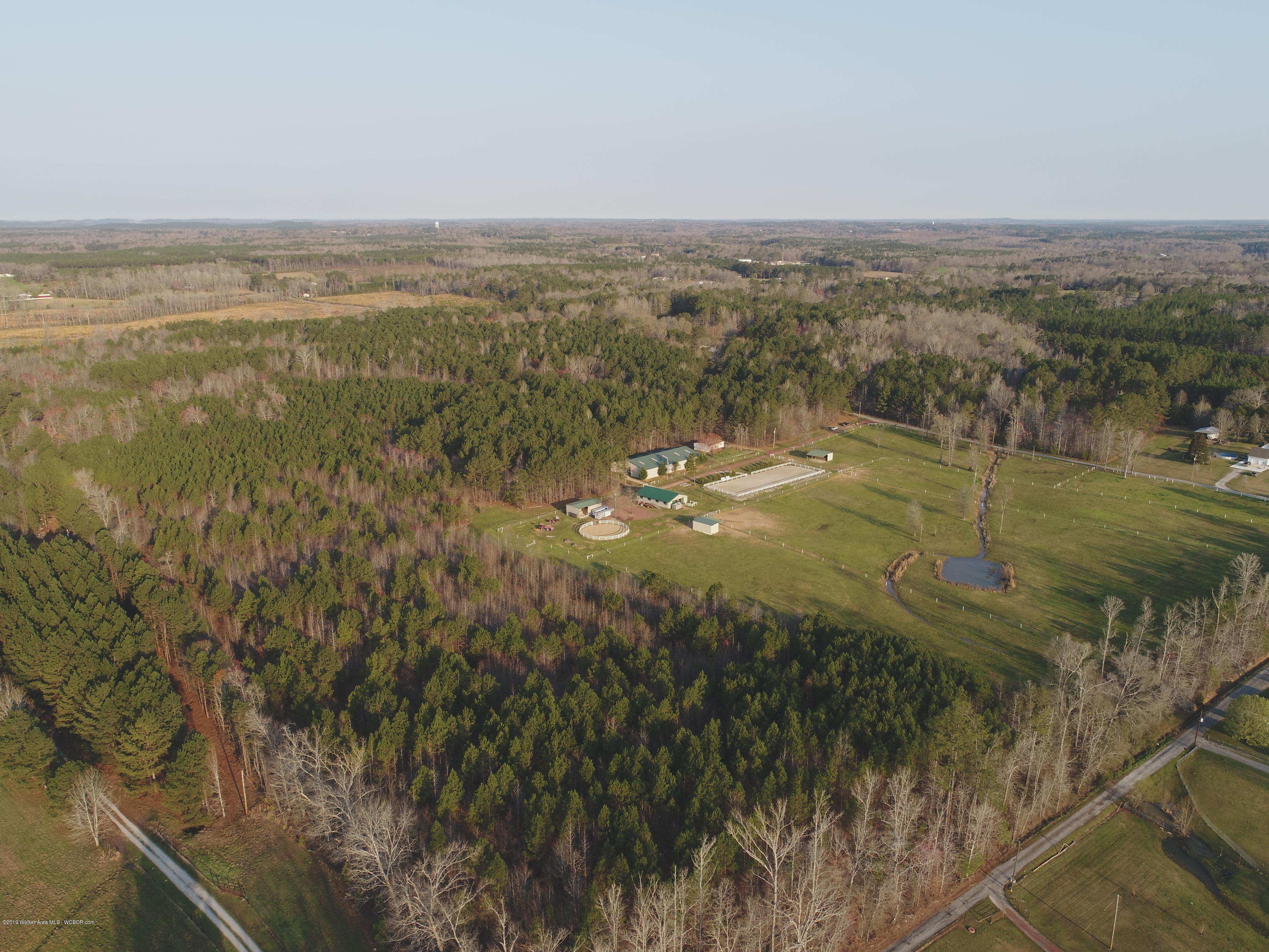 141 Allen Road Nauvoo, AL 35578 - Photo 3 of 17 Gallery Image 3