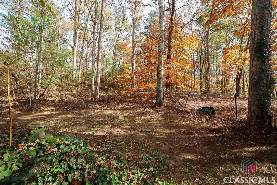 316 Friar Tuck Road Clarkesville, GA 30523 - Photo 25 of 38 Gallery Image 25