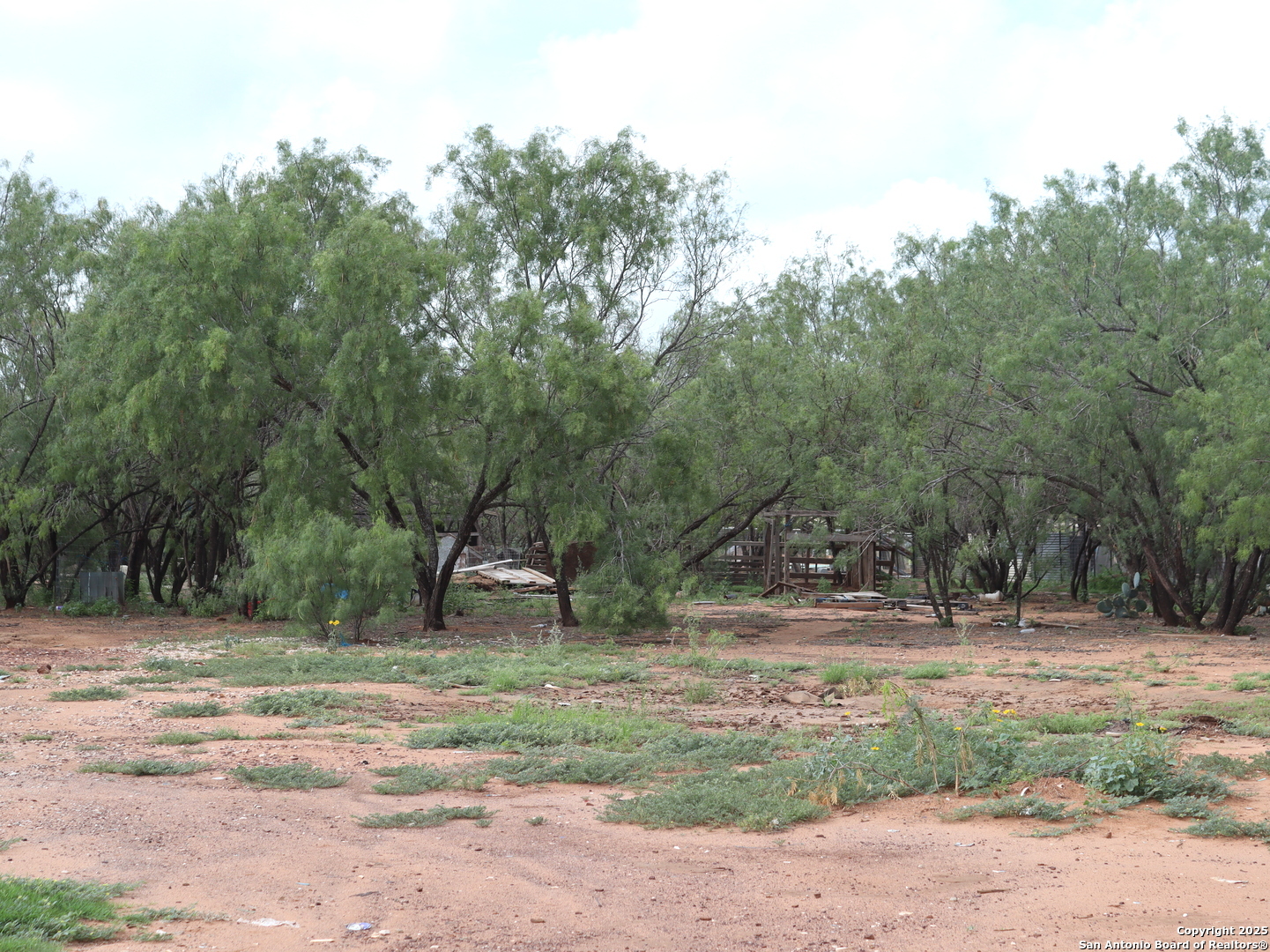 a backyard of a house with trees