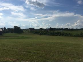 690 Cannon Road Limestone, TN 37681 - Photo 13 of 15 Photo 13
