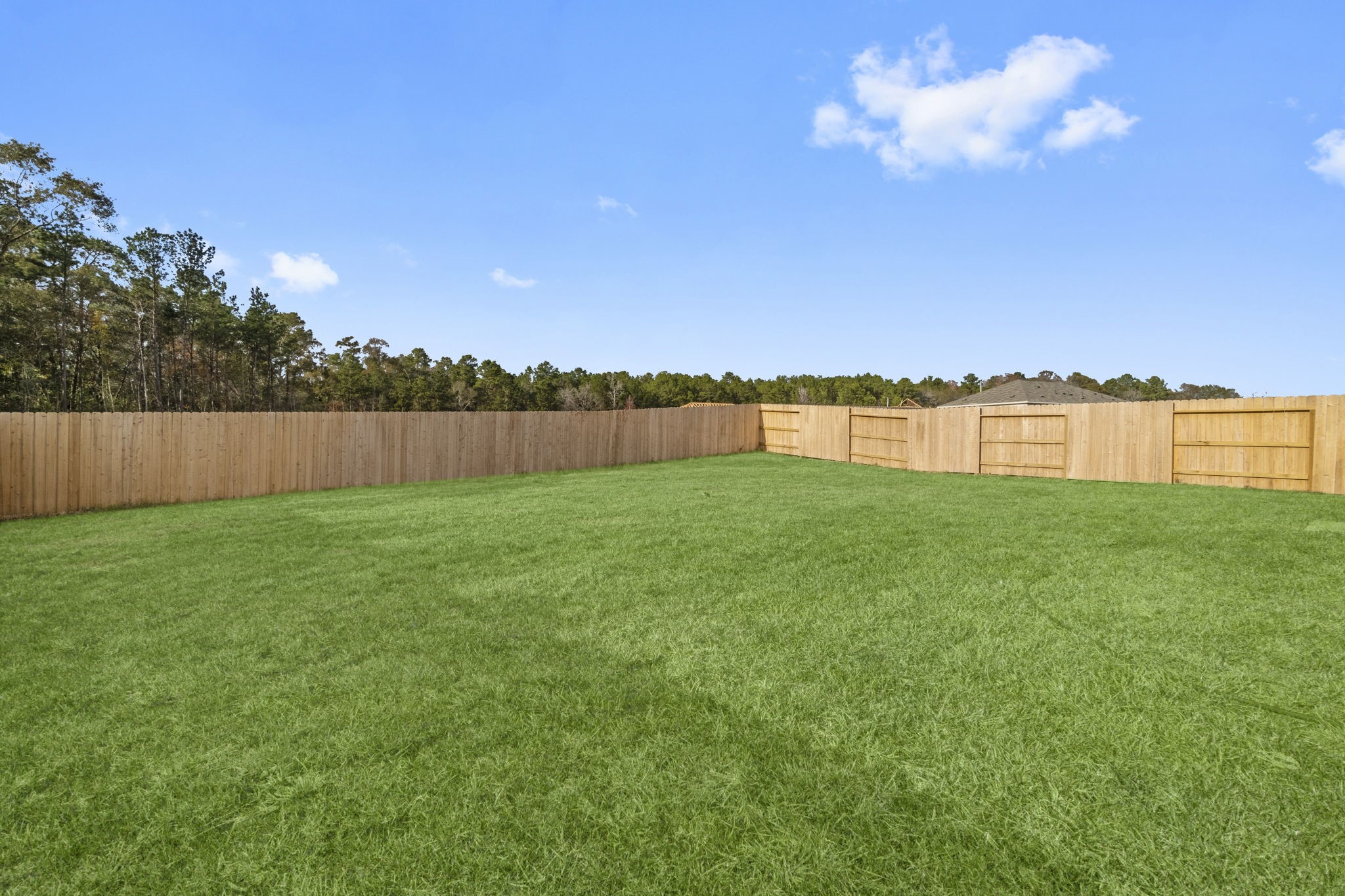 16031 Tallis Drive Conroe, TX 77303 - Photo 29 of 46 a view of a lake