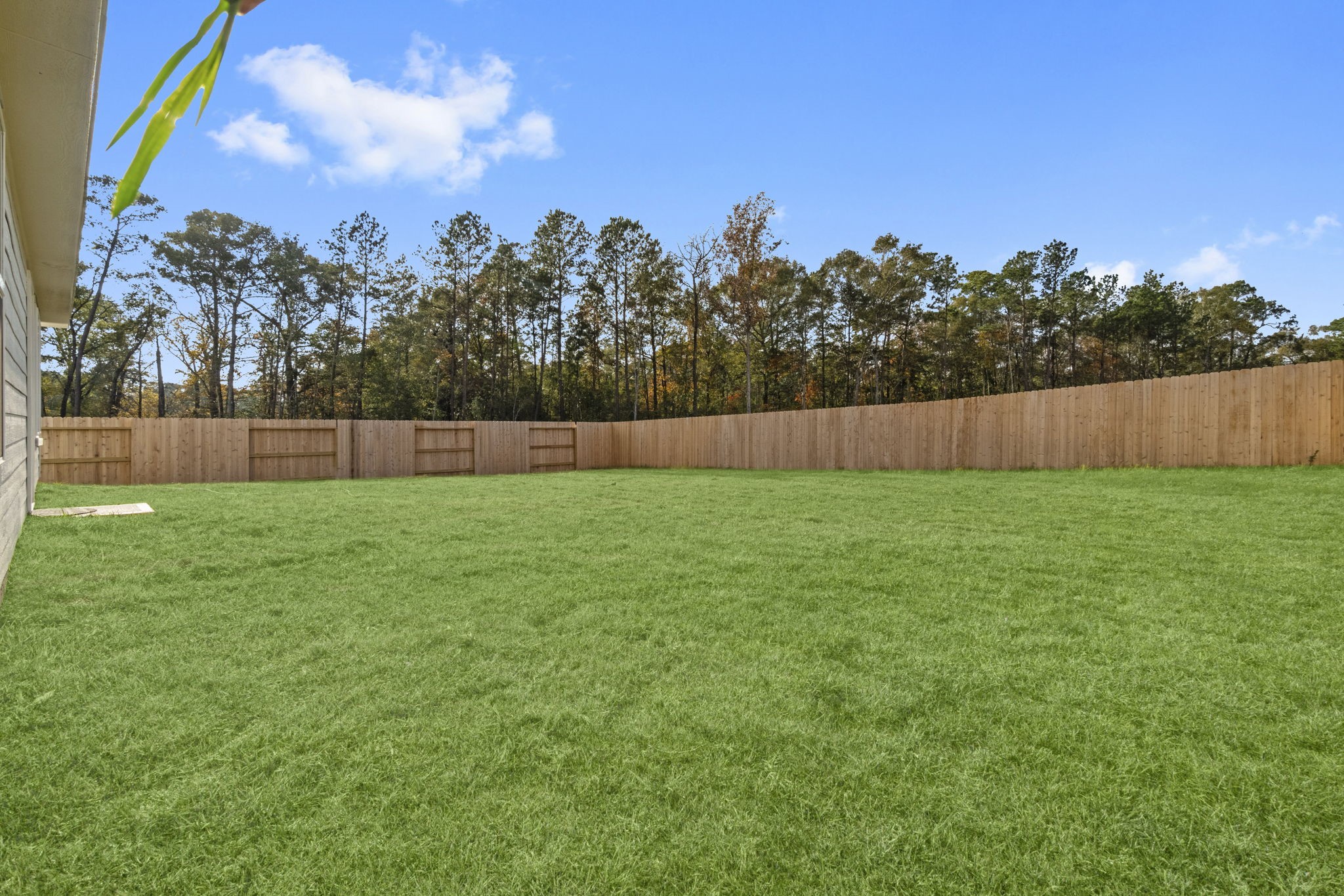 16031 Tallis Drive Conroe, TX 77303 - Photo 32 of 46 a view of yard with a play ground in front of the house
