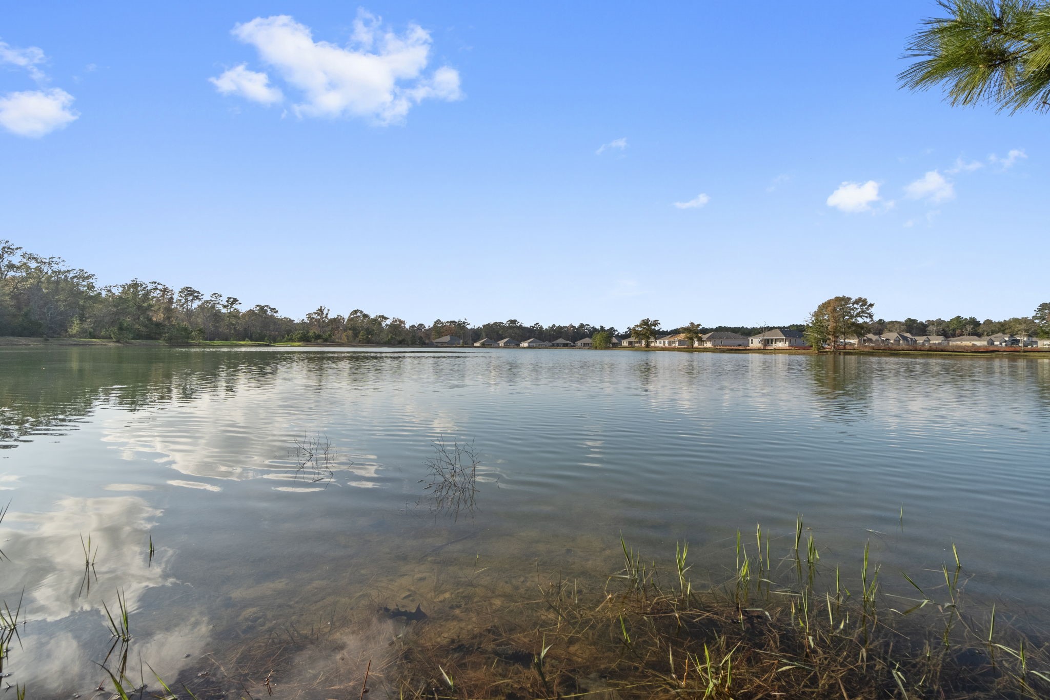 16031 Tallis Drive Conroe, TX 77303 - Photo 35 of 46 a view of a lake with houses in the background
