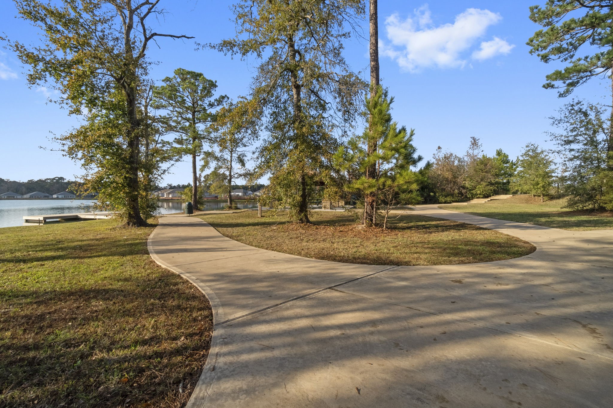 16031 Tallis Drive Conroe, TX 77303 - Photo 36 of 46 a view of road with large trees