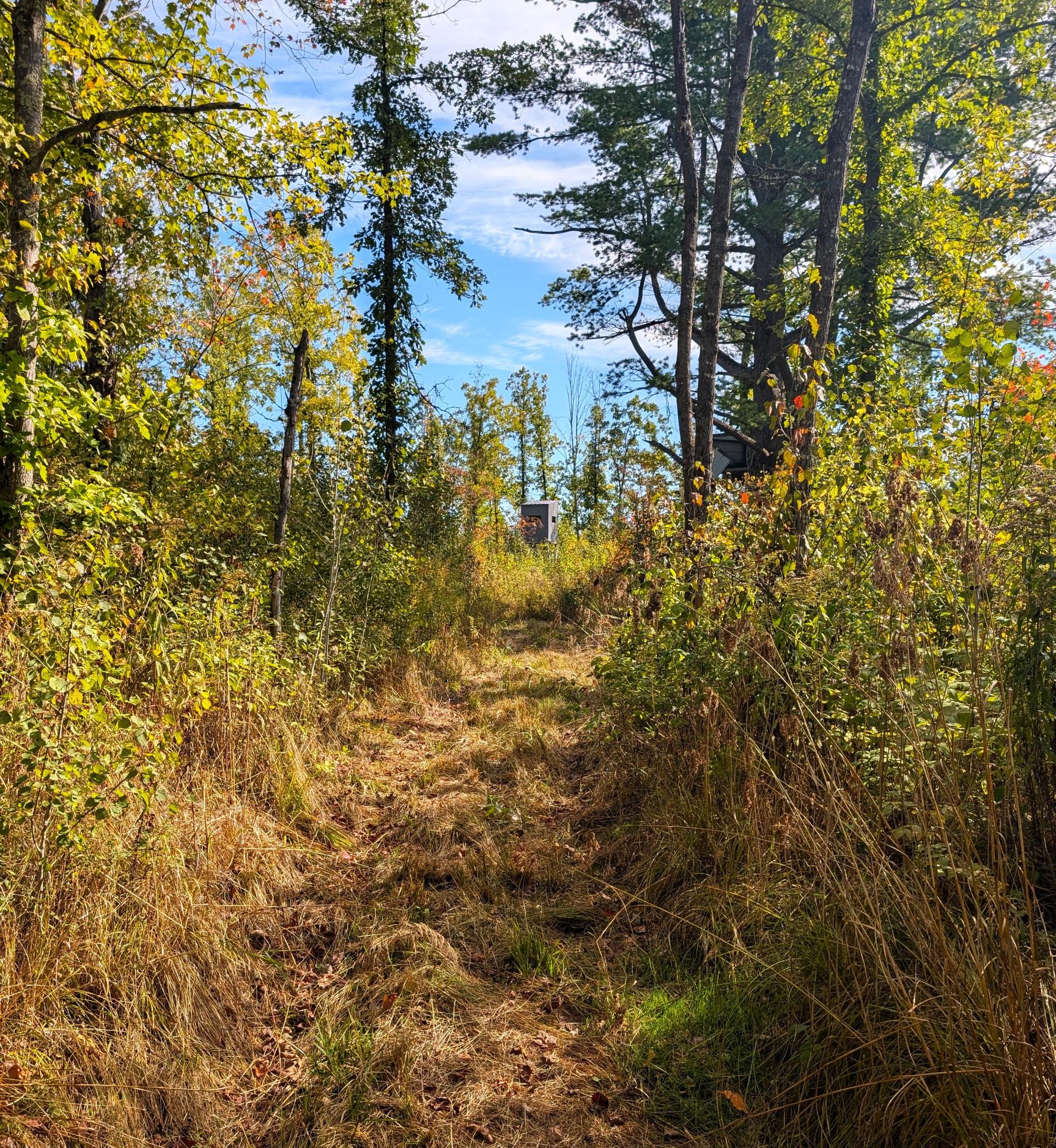 Off Birch Lake Road Exeland, WI 54835 - Photo 16 of 44 Gallery Image 16