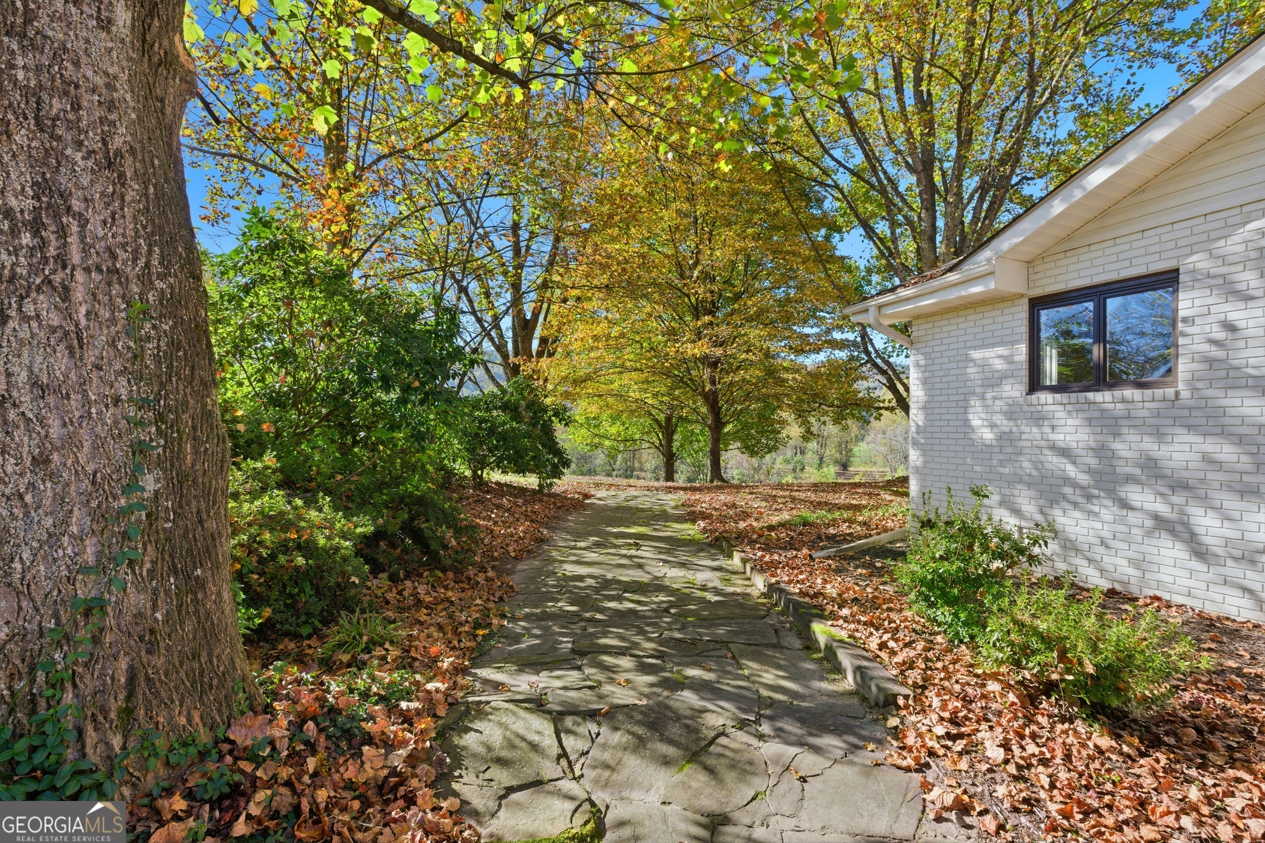 230 Majors Lane Rabun Gap, GA 30568 - Photo 52 of 54