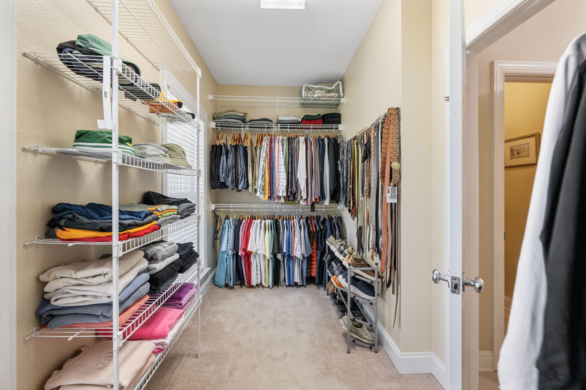 3860 Sweetbay Lane Apison, TN 37302 - Photo 29 of 62 First Floor Primary Closet