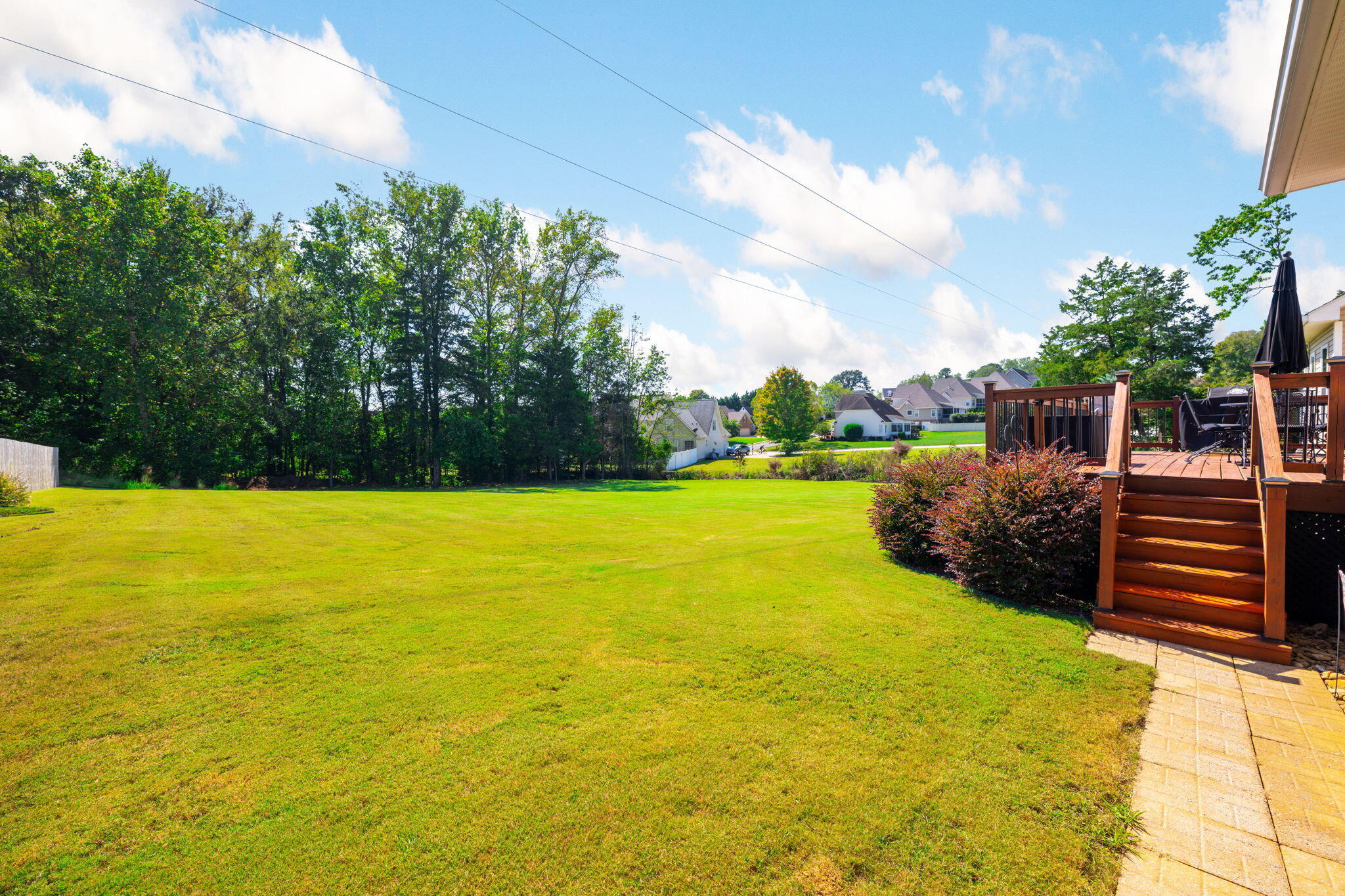 3860 Sweetbay Lane Apison, TN 37302 - Photo 53 of 62 Back Yard