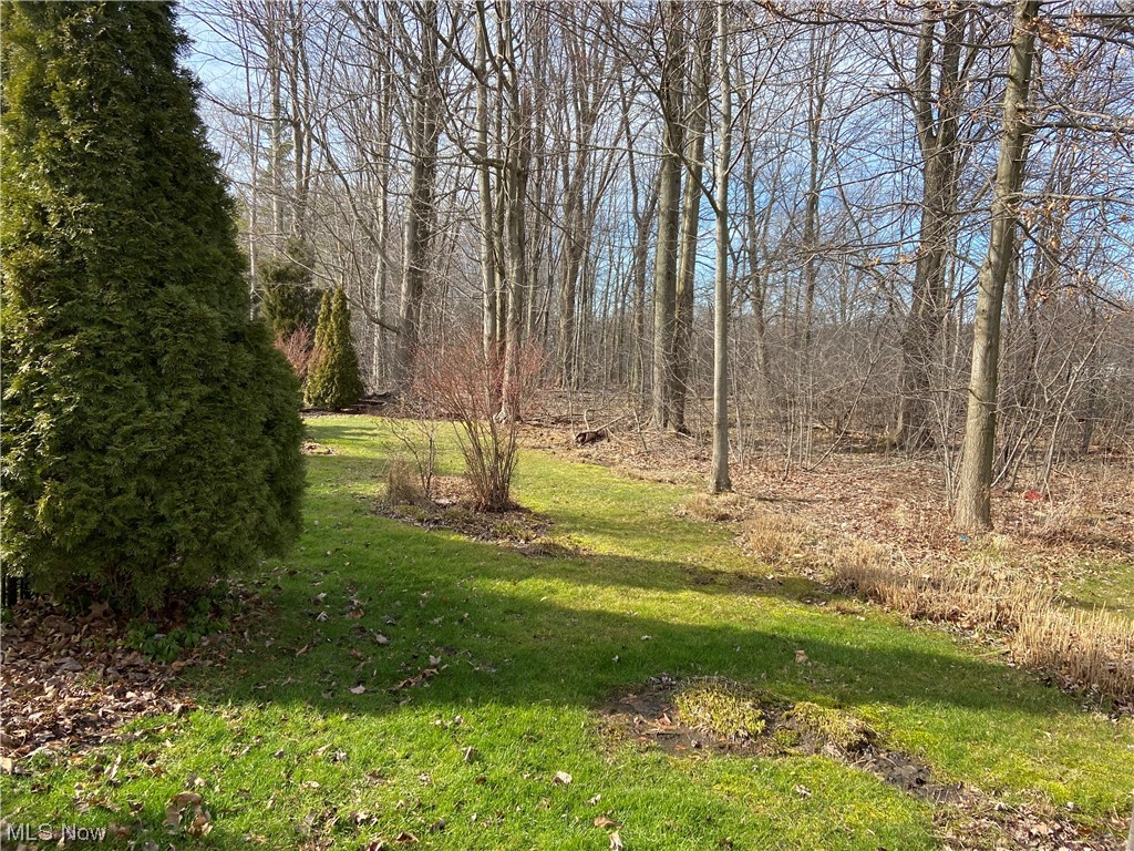 11567 Riding Trail Painesville, OH 44077 - Photo 32 of 33 Gallery Image 32