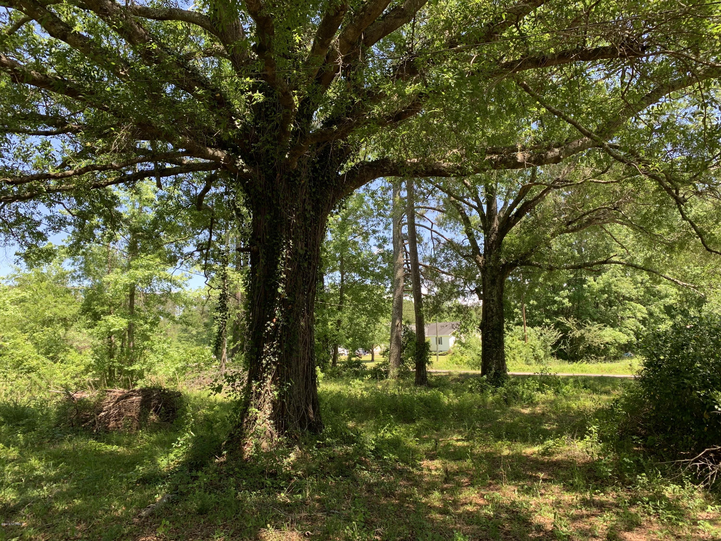 4374 Alligator Road Northwest Ash, NC 28420 - Photo 5 of 16 IMG_0898
