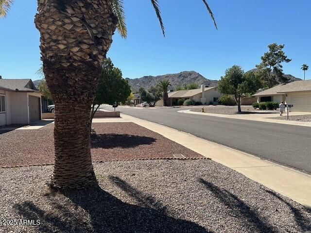 4213 East Mandan Street Phoenix, AZ 85044 - Photo 2 of 16 a picture of a yard that has a tree on it