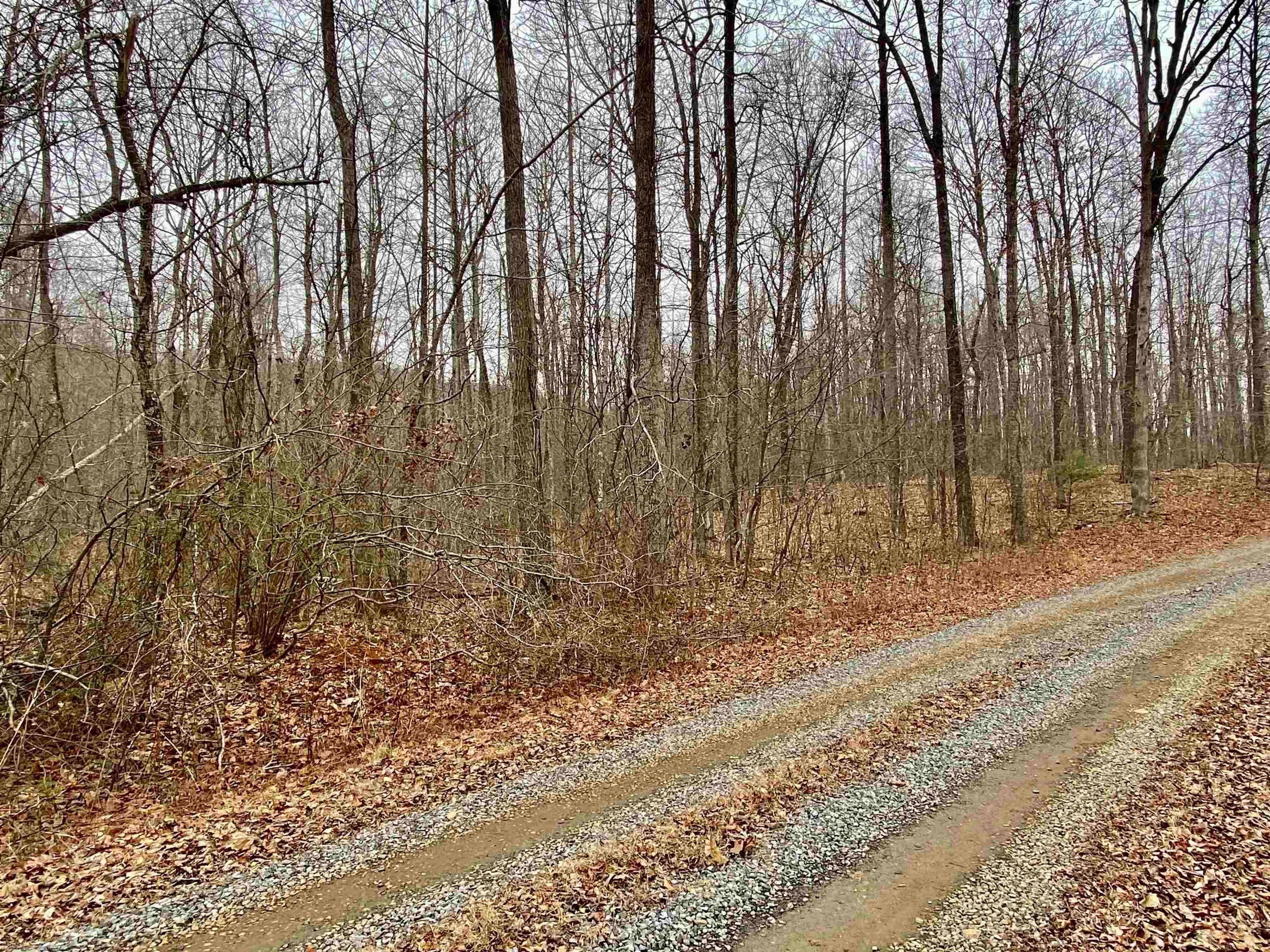 Tbd Broad Hollow Road Floyd, VA 24091 - Photo 1 of 26 Gallery Image 1