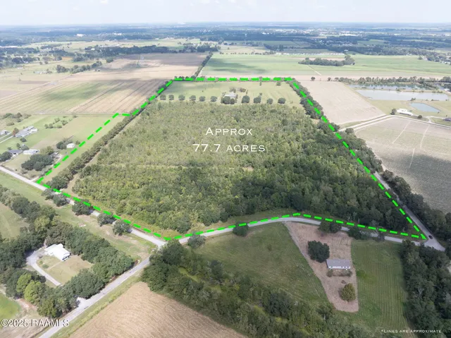 $750,000 | 15011 South Guegnon Street, Abbeville, LA 70510