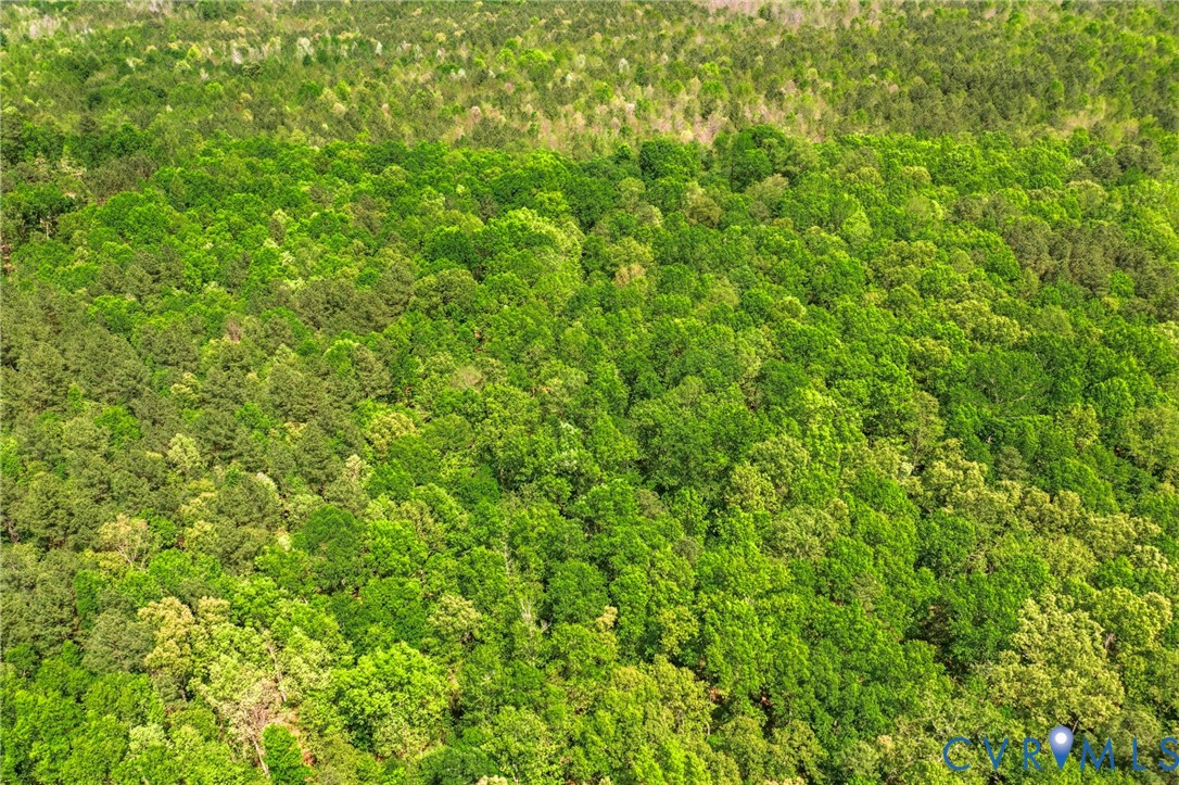 Lot 2 Colemans Lake Road Ford, VA 23850 - Photo 10 of 15 Lot 2 Colemans Lake Road