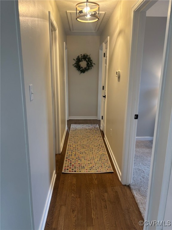 252 Mill Road King William, VA 23086 - Photo 14 of 28 Corridor featuring dark wood-type flooring