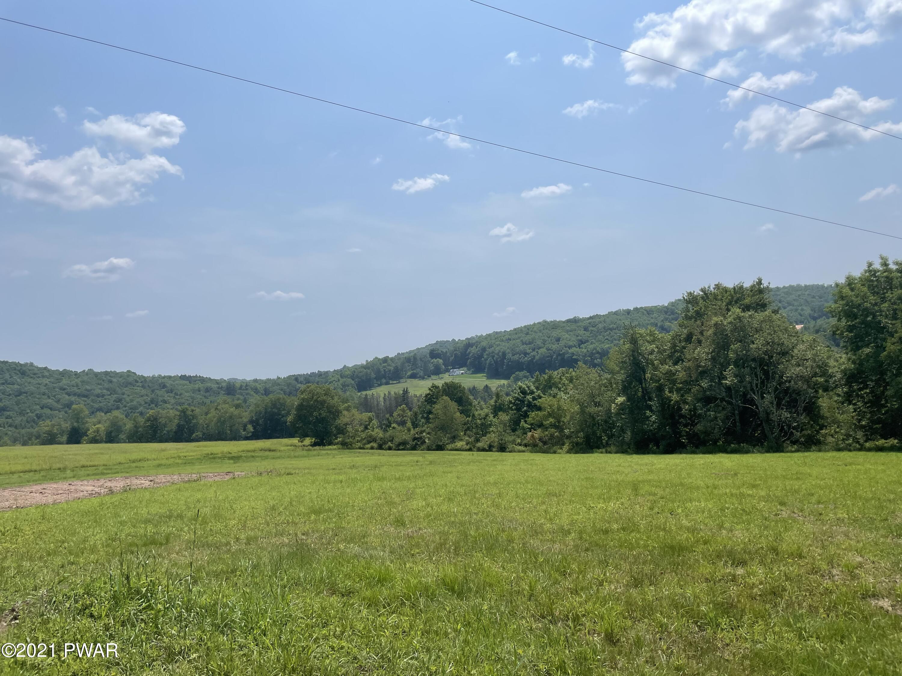 Callicoon Road Damascus, PA 18415 - Photo 3 of 5 Additional View