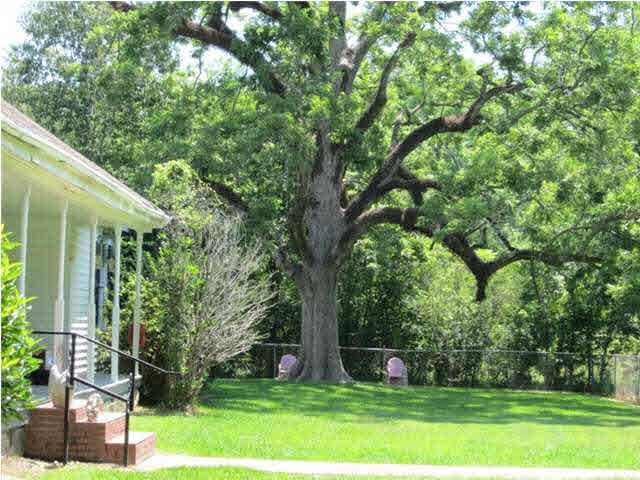 1320 Owens Road Raymond, MS 39154 - Photo 23 of 25 Photo 23