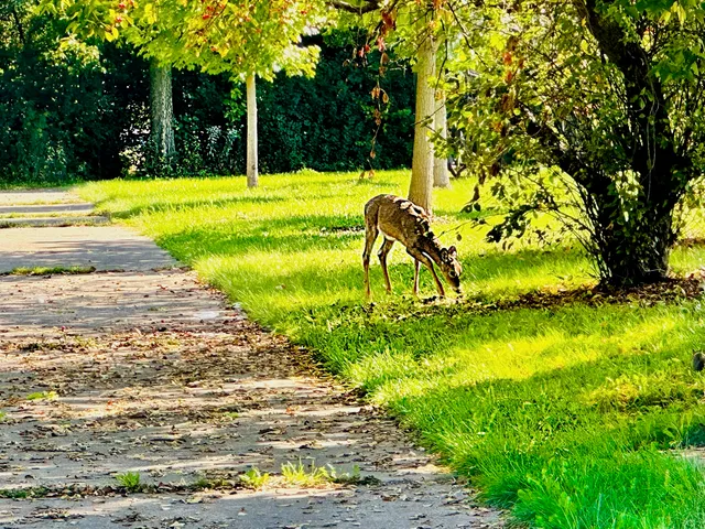 $256,000 | 9310 South Eggleston Avenue, Chicago, IL 60620