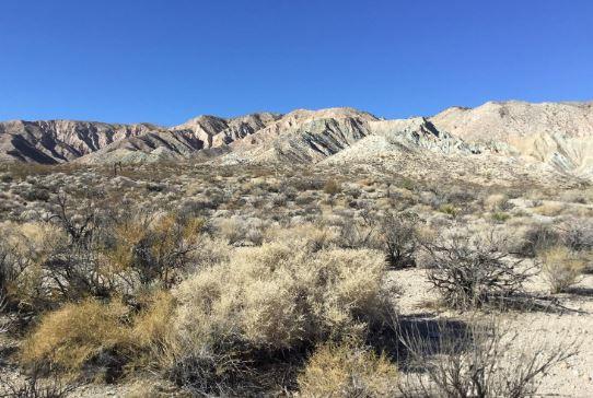 Aqueduct Road Mojave, CA 93501 - Photo 4 of 17 a view of a dry yard with mountains in the background