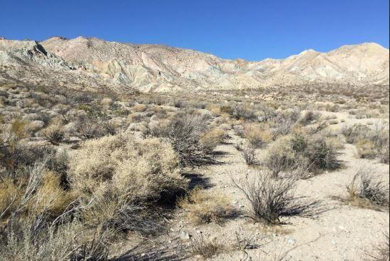 Aqueduct Road Mojave, CA 93501 - Photo 5 of 17 a view of a covered with snow in the background