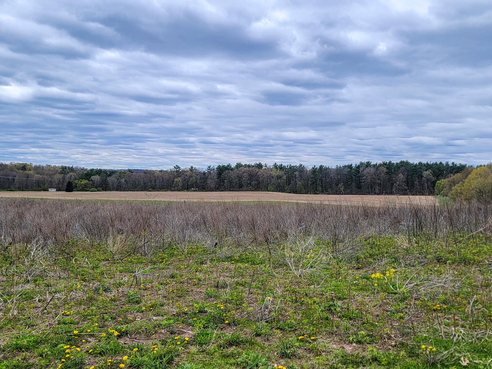 N5495 County Rd B Manawa, WI 54949 - Photo 6 of 8