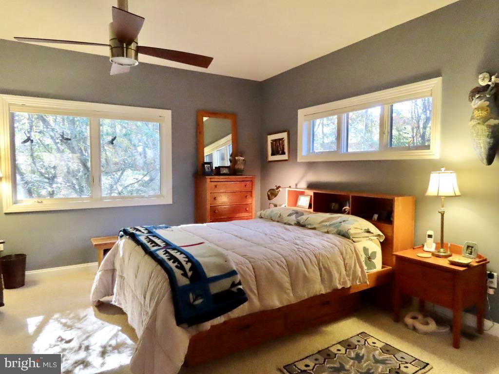 3016 Etlan Road Etlan, VA 22719 - Photo 22 of 42 Primary Bedroom