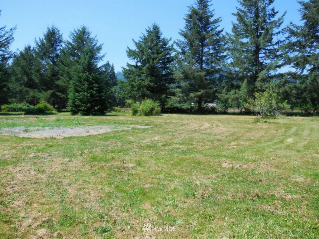 5422 Mosquito Lake Road Deming, WA 98244 - Photo 4 of 9