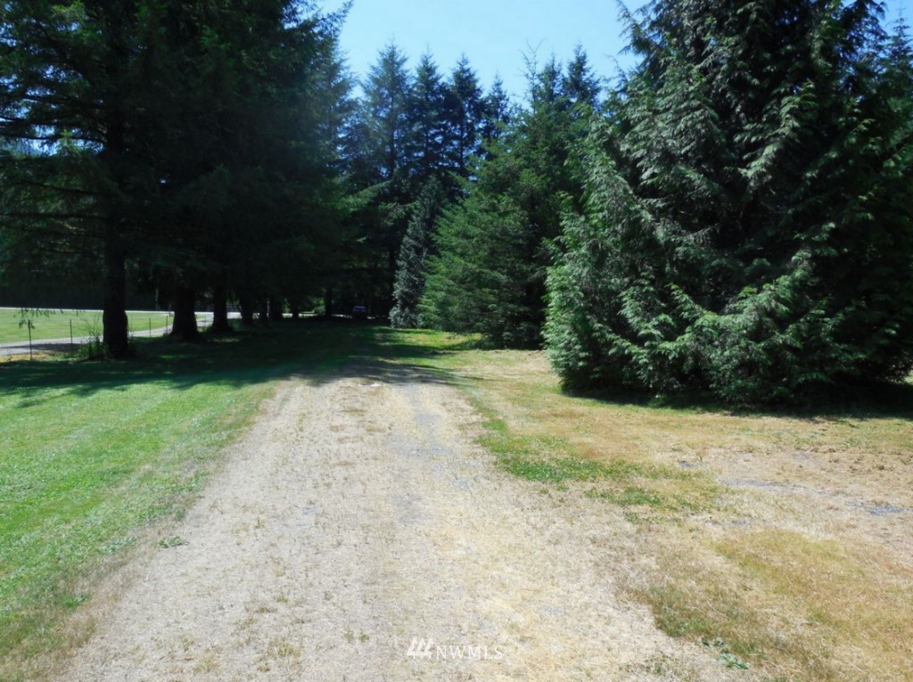 5422 Mosquito Lake Road Deming, WA 98244 - Photo 5 of 9